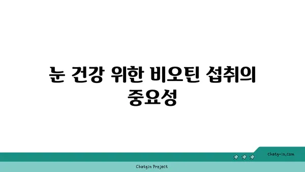 비오틴이 눈 건강을 지키는 5가지 방법 | 비타민 B7, 시력 개선, 눈 건강 팁