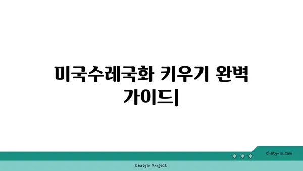 미국수레국화 키우기 완벽 가이드 |  재배, 관리, 번식, 종류, 효능