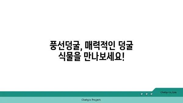 풍선덩굴 키우기 완벽 가이드| 심는 방법부터 관리 팁까지 | 풍선덩굴, 식물 키우기, 정원 가꾸기