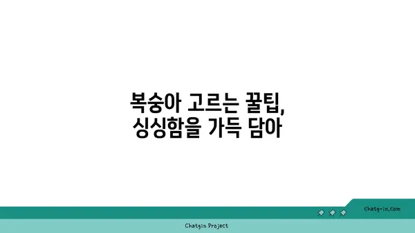 복숭아의 매력, 달콤한 간식부터 건강한 요리까지 |  복숭아 활용 레시피, 복숭아 효능, 복숭아 고르는 법