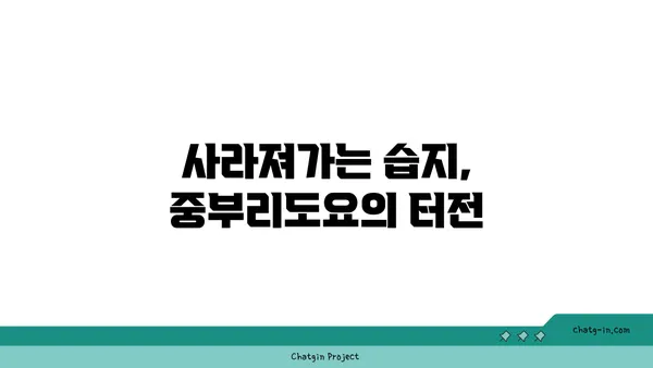 중부리도요| 멸종위기종, 그들의 생존을 위한 노력 |  멸종위기, 서식지 보호, 습지 보존, 생물 다양성