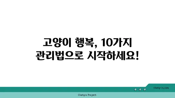 고양이와 행복하게 살아가는 10가지 필수 관리법 | 고양이 키우기, 고양이 관리, 반려묘 팁