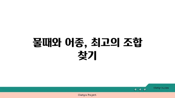 물때를 알고 낚시 성공률 높이기 | 낚시, 물때, 조과, 전략, 정보