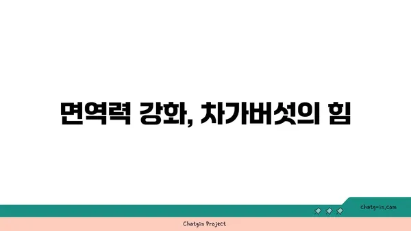 차가버섯 효능과 부작용 완벽 가이드 | 차가버섯, 건강, 면역력, 항암 효과, 주의 사항