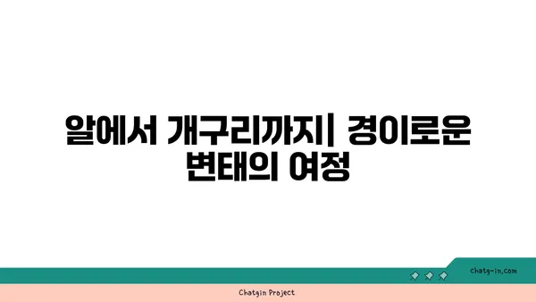 양서류의 놀라운 변태 과정| 개구리, 도롱뇽, 그리고 그들의 신비로운 삶 | 양서류, 변태, 생태, 동물