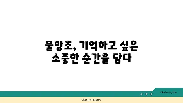 물망초 꽃말과 전설| 잊지 못할 사랑의 의미 | 꽃말, 전설, 의미, 기념, 선물