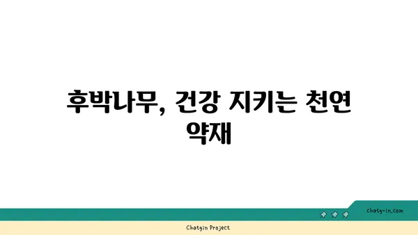 후박나무의 놀라운 효능과 활용법 | 약용, 목재, 민간요법, 재배