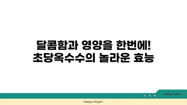 초당옥수수| 건강 식습관의 필수 요소 | 영양, 효능, 레시피, 섭취 방법