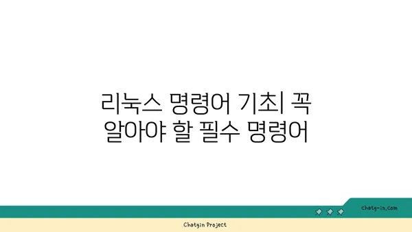 리눅스 초보자를 위한 명령어 학습 가이드 | 리눅스 기초, 명령어, 터미널, Linux