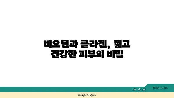 비오틴과 콜라겐 생성| 콜라겐 생성에 도움이 되는 비오틴의 효과 | 비오틴, 콜라겐, 피부 건강, 영양