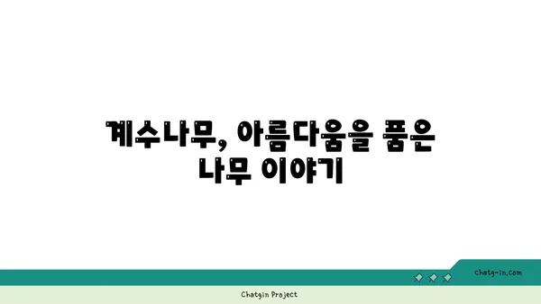 계수나무의 매력에 빠지다| 잎, 꽃, 열매, 나무의 특징과 효능 | 계수나무, 특징, 효능, 재배, 전설