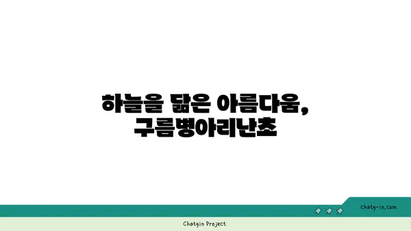 구름병아리난초의 매력에 빠지다| 아름다움과 희귀성을 간직한 야생화 | 멸종위기종, 난초과, 한국 자생식물, 식물 정보