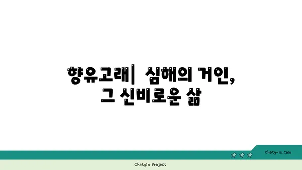 향고래의 비밀| 신비로운 심해 거인의 모든 것 | 고래, 향유고래, 심해 생물, 해양 생태계