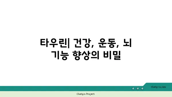 타우린이 우리 몸에 미치는 놀라운 영향| 건강, 운동, 그리고 뇌 기능 | 타우린 효능, 건강 정보, 운동 보충제, 뇌 기능 개선