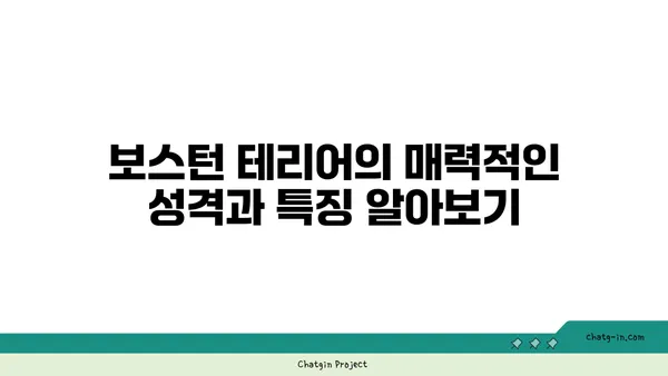 보스턴 테리어 완벽 가이드| 성격, 건강, 훈련, 그리고 더 많은 정보 | 보스턴 테리어, 강아지, 품종, 입양, 관리