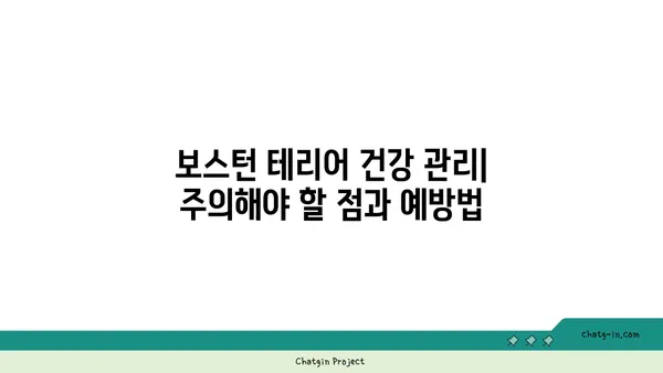 보스턴 테리어 완벽 가이드| 성격, 건강, 훈련, 그리고 더 많은 정보 | 보스턴 테리어, 강아지, 품종, 입양, 관리