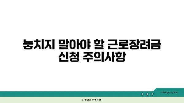 근로장려금 못 받았다면? 놓치고 있는 혜택, 지금 바로 확인하세요! | 미수령 이유, 신청 방법, 주의 사항