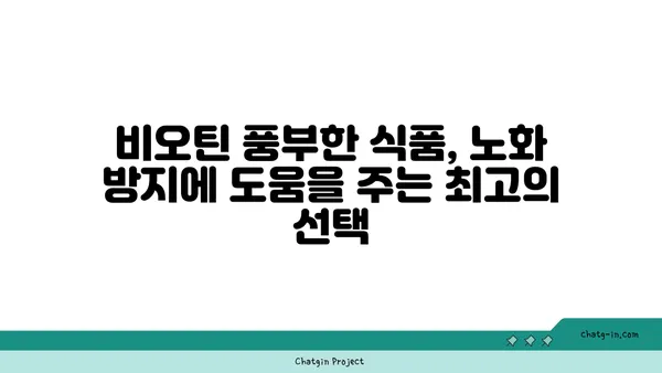 비오틴이 노화 방지에 미치는 영향| 핵심 정보와 효과적인 섭취 방법 | 비타민 B7, 노화, 건강, 섭취 팁, 영양