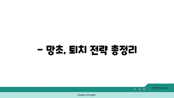 망초, 당신의 정원을 점령한 잡초? | 망초 제거, 망초 효능, 망초 퇴치 방법