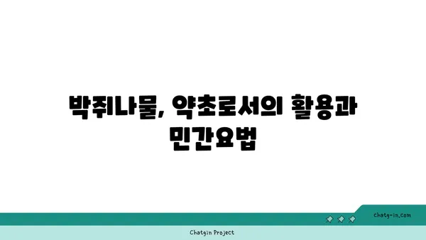 박쥐나물의 효능과 부작용 | 섭취 시 주의 사항 | 약초, 민간요법, 건강