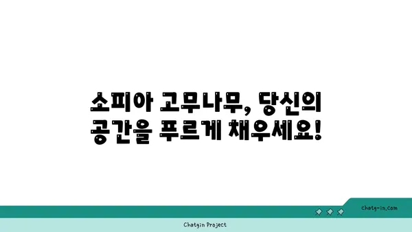 소피아 고무나무 키우기 완벽 가이드 | 실내 식물, 관리법, 번식, 병충해