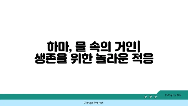 하마의 놀라운 비밀| 거대한 몸집에 숨겨진 놀라운 능력 | 하마, 동물, 특징, 생태