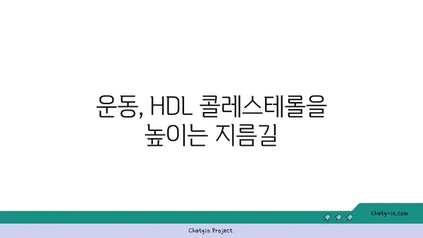 고밀도 지단백질(HDL)| 좋은 콜레스테롤을 높이는 5가지 방법 | 건강, 콜레스테롤, 심혈관 건강