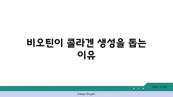 비오틴과 콜라겐 생성| 콜라겐 생성에 도움이 되는 비오틴의 효과 | 비오틴, 콜라겐, 피부 건강, 영양