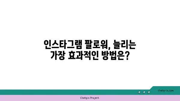 인스타그램 마케팅 성공 전략| 팔로워 늘리고 매출 상승시키는 핵심 가이드 | 인스타 마케팅, 팔로워 증가, 매출, 전략, 팁