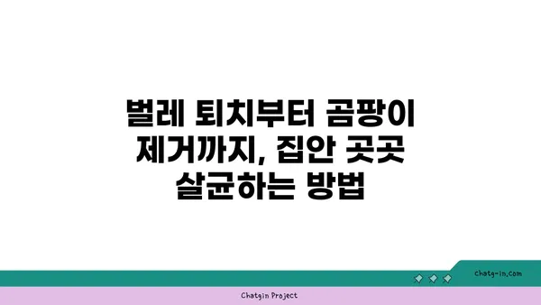 깨끗한 집의 비밀| 좀을 쫓아내는 7가지 기술 | 벌레퇴치, 집 청소, 살균, 곰팡이 제거