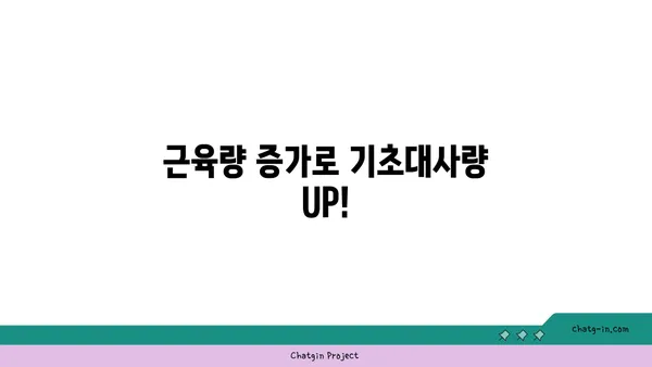 나의 기초대사량 계산 & 증진 방법| 체중 감량, 건강 관리의 시작 | 기초대사량 계산, 기초대사량 높이기, 체중 감량, 건강 관리