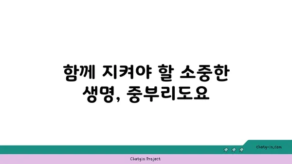 중부리도요| 멸종위기종, 그들의 생존을 위한 노력 |  멸종위기, 서식지 보호, 습지 보존, 생물 다양성