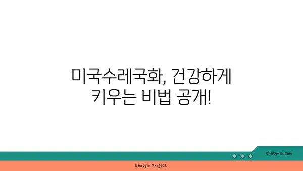 미국수레국화 키우기 완벽 가이드 |  재배, 관리, 번식, 종류, 효능