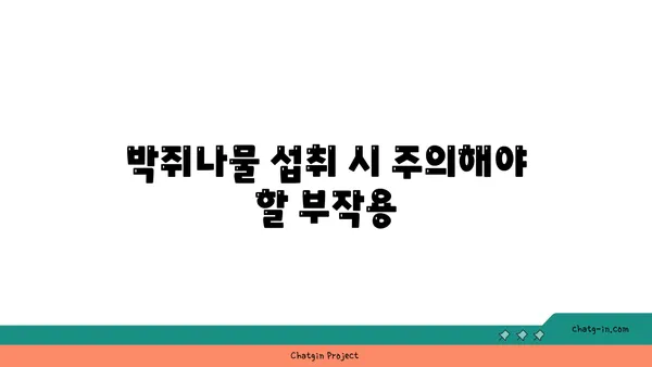 박쥐나물의 효능과 부작용 | 섭취 시 주의 사항 | 약초, 민간요법, 건강