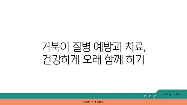 거북이 키우기 완벽 가이드| 종류별 특징부터 먹이, 환경, 건강 관리까지 | 거북, 거북 사육, 파충류, 애완동물