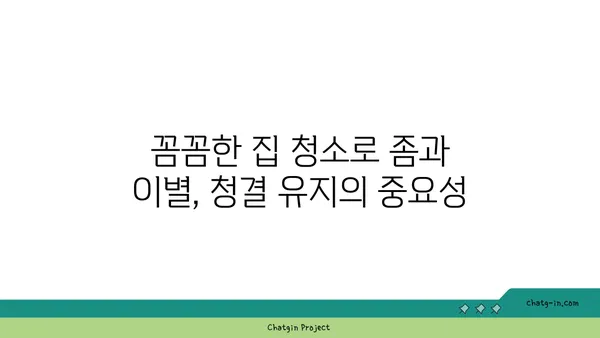 깨끗한 집의 비밀| 좀을 쫓아내는 7가지 기술 | 벌레퇴치, 집 청소, 살균, 곰팡이 제거