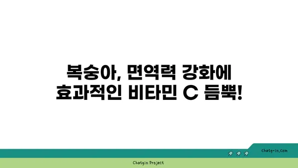 복숭아의 비타민 채식지| 건강한 면역력을 위한 필수 과일 | 복숭아 효능, 면역력 강화, 비타민 C