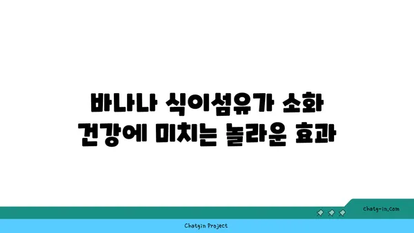 바나나, 식이섬유의 보고! 왜 바나나는 식이섬유 공급원일까요? | 건강, 식단, 소화, 영양