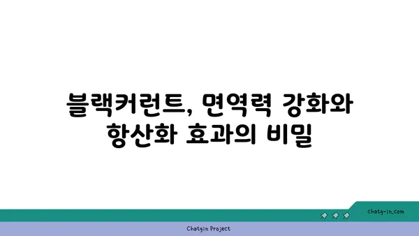 블랙커런트의 놀라운 효능 7가지| 건강과 미용을 위한 특별한 열매 | 블랙커런트 효능, 블랙커런트 레시피, 블랙커런트 영양