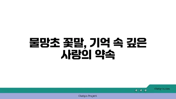 물망초 꽃말과 전설| 잊지 못할 사랑의 의미 | 꽃말, 전설, 의미, 기념, 선물