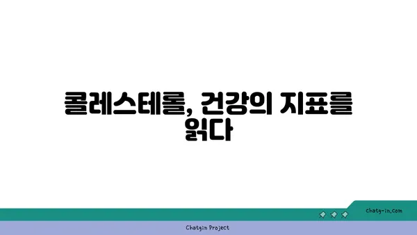 콜레스테롤 이해| 좋은 콜레스테롤, 나쁜 콜레스테롤 | 건강 관리, 심혈관 질환, 콜레스테롤 수치 개선