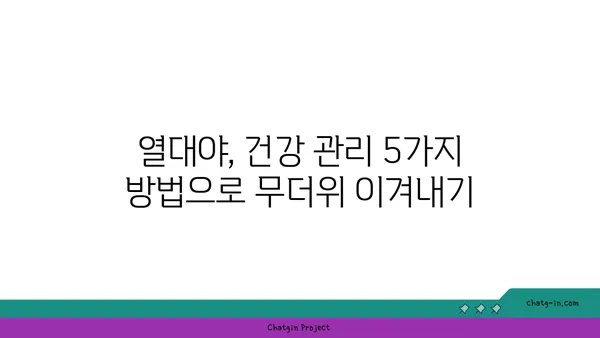 열대야, 건강 지키는 5가지 방법 | 열대야, 건강 관리, 수면, 탈수, 밤