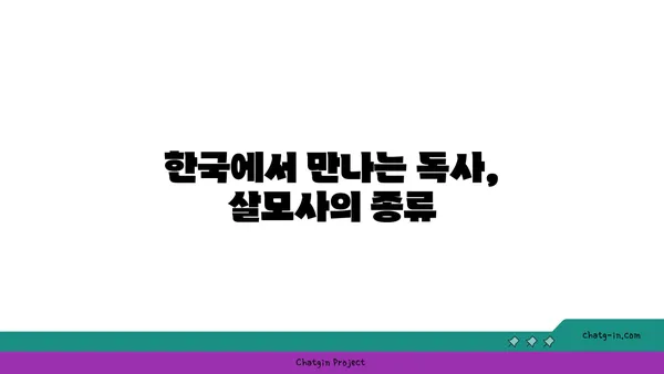 살모사| 우리나라에서 만날 수 있는 독사의 종류와 특징 | 독사, 뱀, 야생동물, 위험, 구별법