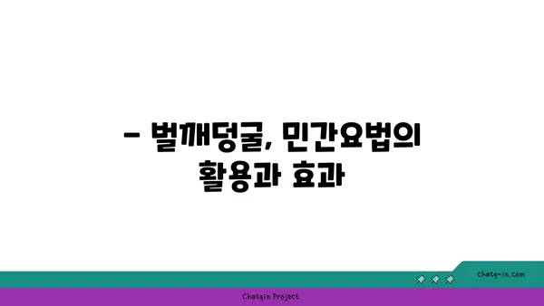 벌깨덩굴 효능과 부작용 완벽 정리 | 약초, 민간요법, 주의사항