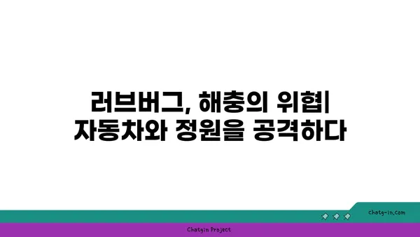 러브버그, 정말 사랑스러운 곤충일까요? | 러브버그, 짝짓기, 곤충, 해충