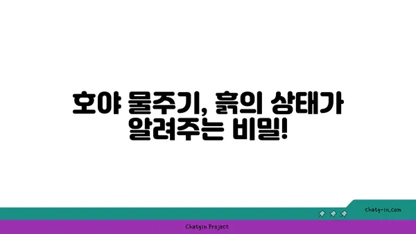 호야 키우기 완벽 가이드 | 호야 종류, 물주기, 햇빛, 번식, 병충해, 관리 팁