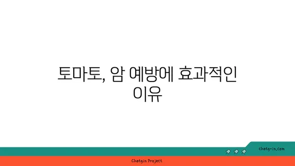 토마토의 놀라운 암 예방 효과| 7가지 연구 결과 & 섭취 방법 | 암 예방 식단, 항산화 효능, 건강 식품