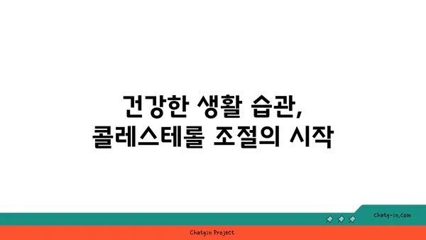 콜레스테롤 싸움 승리 전략| 성공적인 박멸을 위한 3가지 필수 전략 | 건강, 고지혈증, 식단 관리, 운동