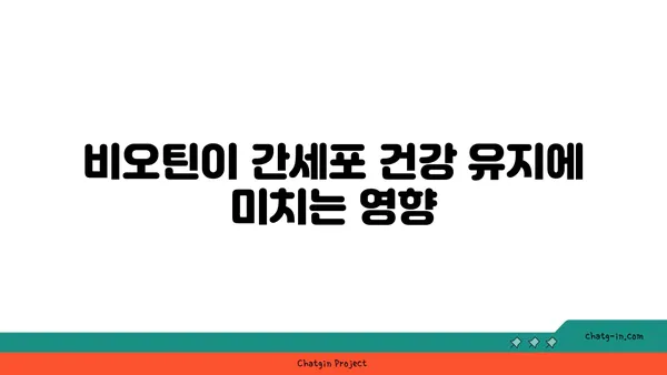 비오틴이 간 건강을 향상시키는 5가지 방법 | 간 건강, 비오틴 효능, 영양제, 건강 관리