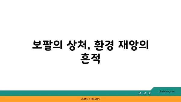 보팔 사건, 잊혀진 비극의 진실| 40년 만에 다시 묻는 질문 | 보팔, 잊혀진 참사, 환경 재앙, 책임, 배상, 법적 분쟁